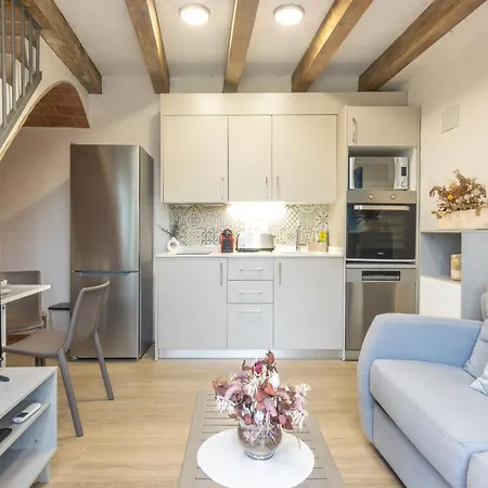 Mas Pigem Appartement *